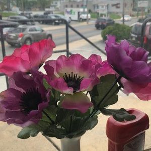 Meet your Posher, Kerrianne